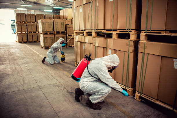 Best Best Pest Control Companies  in Commack, NY