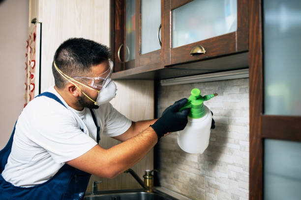 Best Wasp Removal Services  in Commack, NY