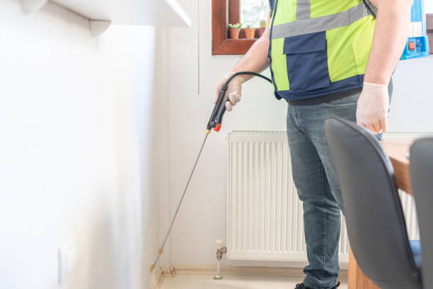 Reliable Commack, NY Pest Control Solutions