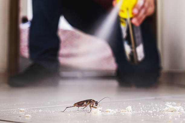Best Best Pest Control Companies  in Commack, NY