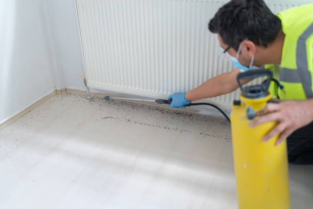Best Exterminator Services  in Commack, NY
